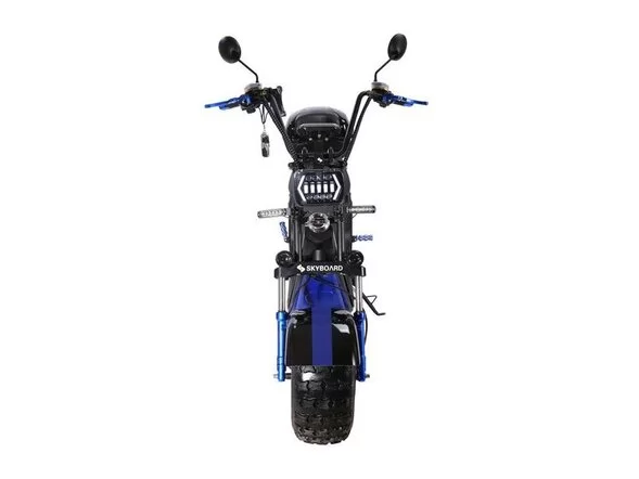 Электроскутер SKYBOARD BR20-2WD PRO FAST OFF-ROAD